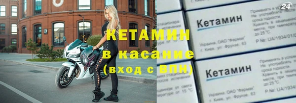 индика Няндома