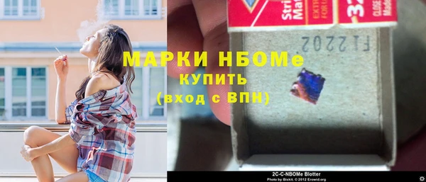 стаф Новокубанск