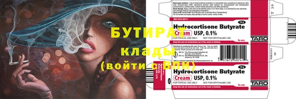 индика Няндома
