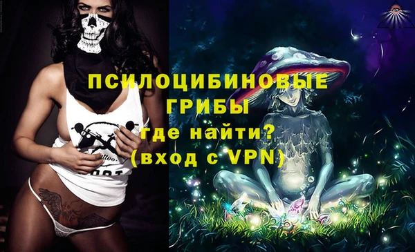 ECSTASY Новодвинск