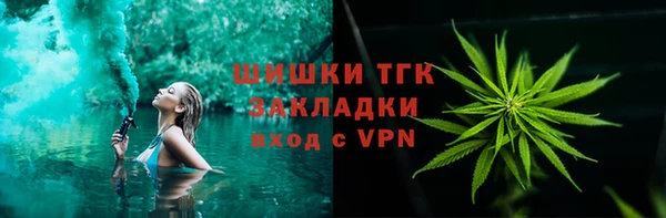 стаф Новозыбков