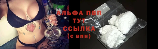 стаф Новозыбков
