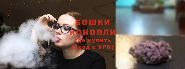 индика Няндома