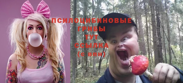 индика Няндома