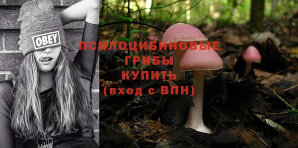 ECSTASY Новодвинск