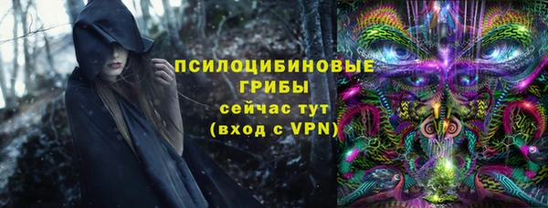 индика Няндома