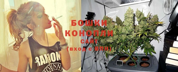 ECSTASY Новодвинск