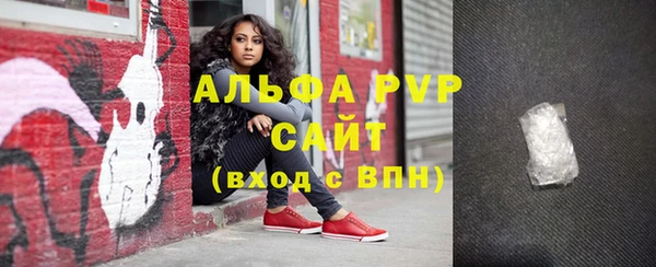 стаф Новокубанск