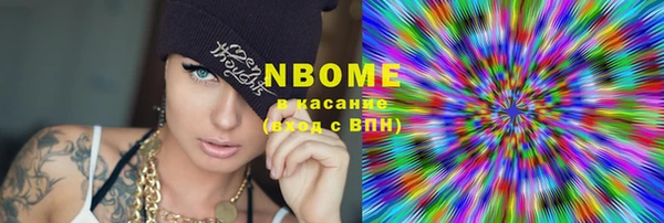 стаф Новокубанск