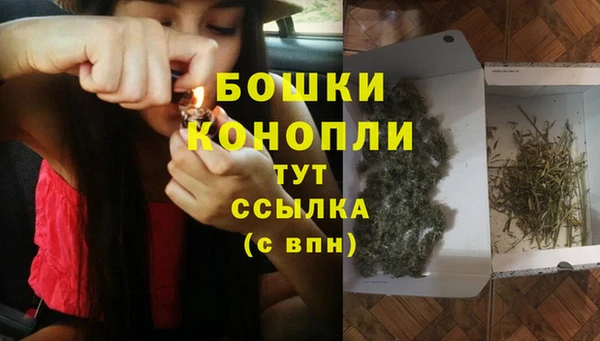 стаф Новозыбков