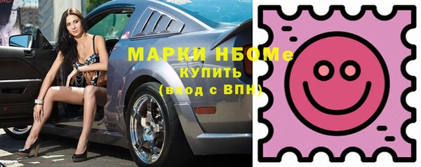 стаф Новокубанск