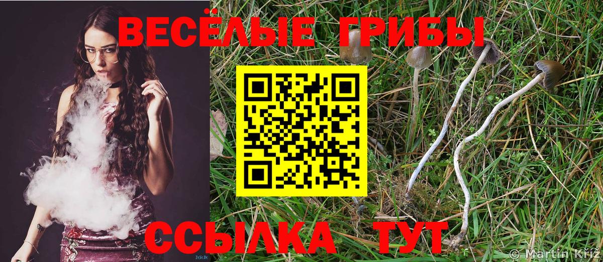 Галлюциногенные грибы Magic Shrooms  Саров 