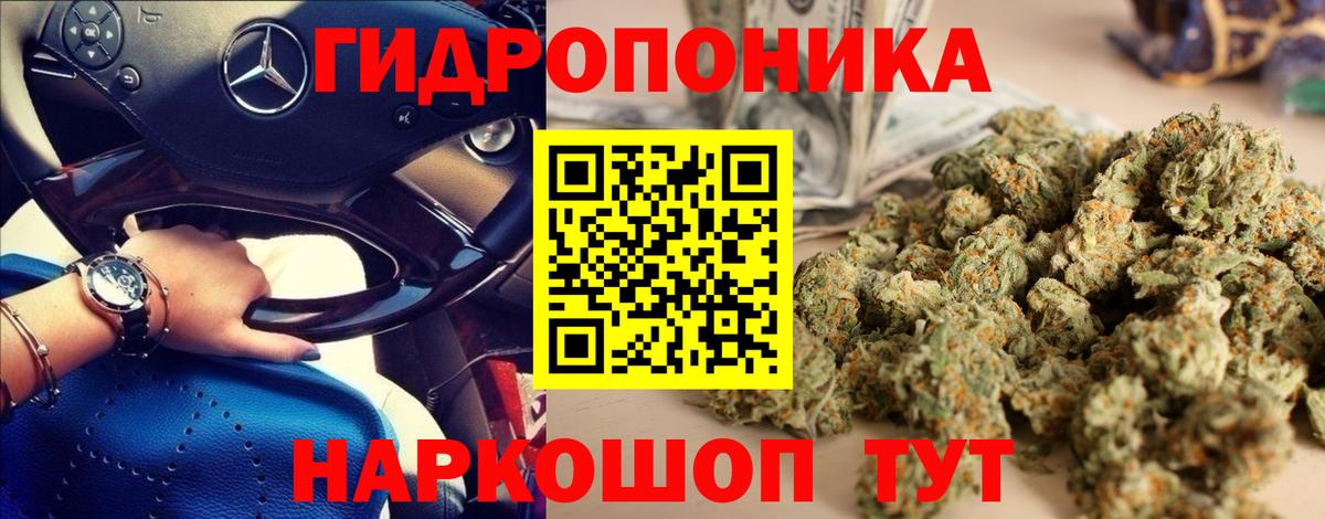 Бошки Шишки планчик  МАРИХУАНА марихуана  Саров 